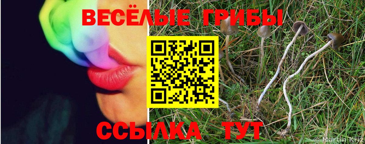 Строитель  Галлюциногенные грибы GOLDEN TEACHER  Вход с VPN 