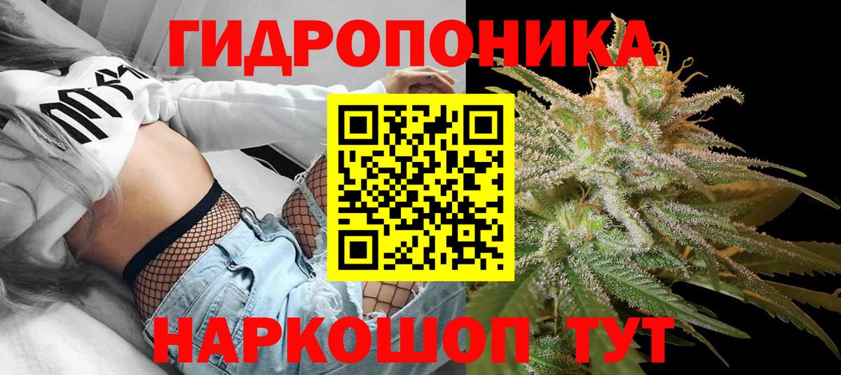 Строитель  Канабис Bruce Banner  МАРИХУАНА тримм  Вход с VPN  Каннабис планчик  Конопля THC 21% 